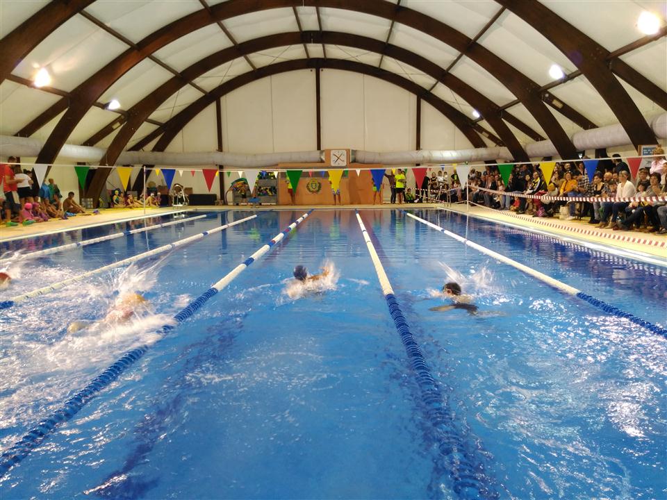 competicio natació castalla