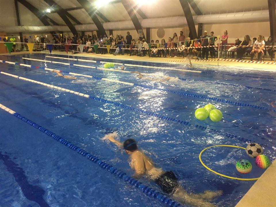competicio natació castalla